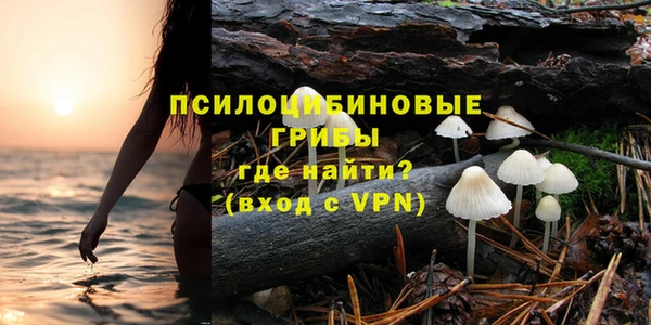 экстази Бородино