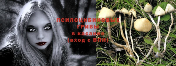 дмт Бронницы