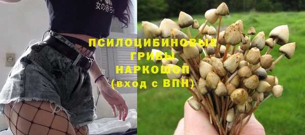 дмт Бронницы