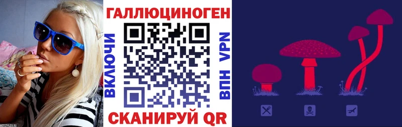 blacksprut   Южа  Псилоцибиновые грибы MAGIC MUSHROOMS 