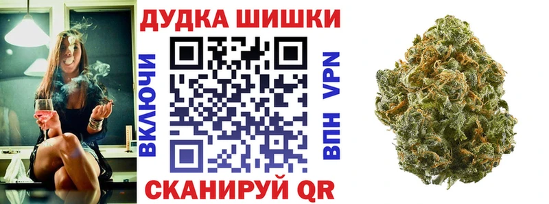 Бошки Шишки планчик  как найти закладки  Южа 